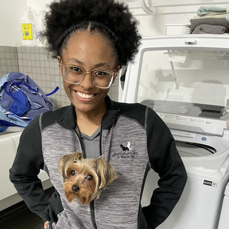 Staff With Dog in Jacket